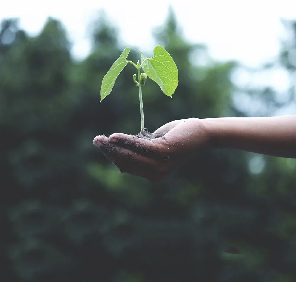 有機硅樹脂 有機硅樹脂